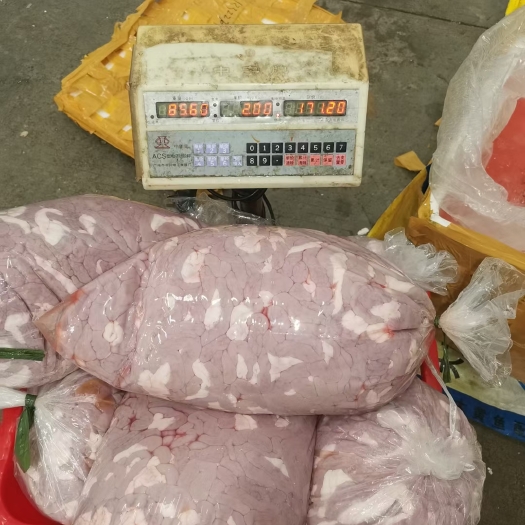 優質散裝冷藏豬肚批發｜食用農產品供應全解析