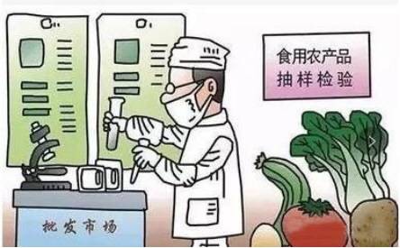 守護舌尖上的安全——加強食用農產品批發環節安全監管