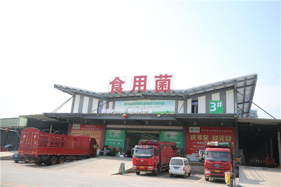 貴州省食用菌專業(yè)批發(fā)交易市場招商政策深度解讀